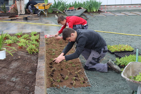 Activité plantation. (Crédit photo : MFR Mareuil-sur-Lay)