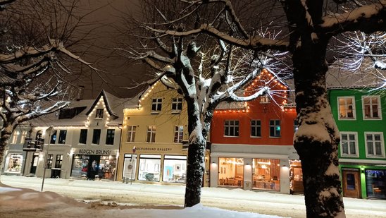 La ville de Bergen (Crédit photo : Benoît Quemeneur)