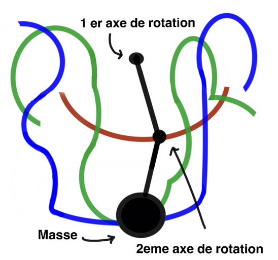 en rouge, la seule trajectoire d'un pendule, en bleu et vert deux parmi les trajectoires possibles d'un double pendule (Crédit photo : Manassé)