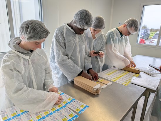 Ulysse, Rachael, Awen et Nathan préparent les étiquettes des tablettes de chocolat dans la chocolaterie de L'ESAT de Gétigné (Crédit photo : Service com du lycée)