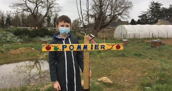 Lucas et un pommier devant la mare, le rucher, la serre et le jardin. (Crédit photo : fl)