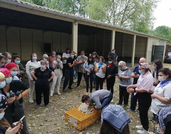 Les participants attendent patiemment l'envol des messagers. (Crédit photo : Christelle CHESNAIE)