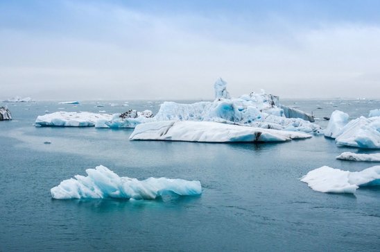 Les effets du réchauffement climatique. (Crédit photo : Guillaume Falco)