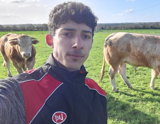 Asdine auprès de sa race préférée, la blonde d'aquitaine. (Crédit photo : Asdine Maymo)