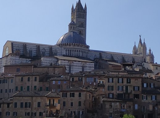 Vue sur la cathédrale de Sienne (Crédit photo : Albane David)