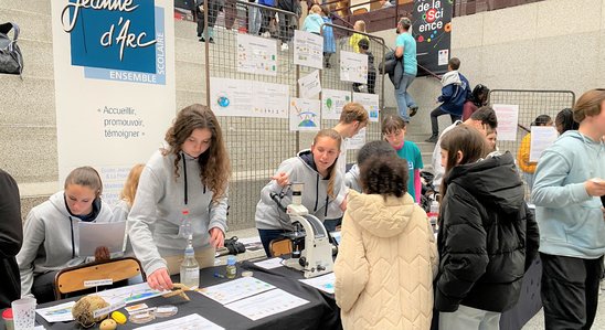 Accueil du public au stand des STL, à l'Hôtel de ville du Havre. (Crédit photo : Julie Neveu)