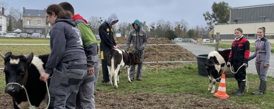 Les 1ères CGEA (Conduite et Gestion de l'Entreprise Agricole) en TP (Crédit photo : élèves)