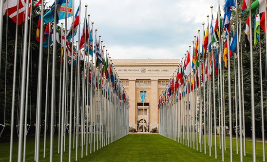 Dans de nombreuses organisations internationales, comme ici l'ONU, le français fait partie des langues officielles. (Crédit photo : Pexels.com - Mathias Reding)