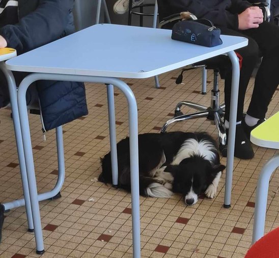 Sieste dans la classe. (Crédit photo : Cathy bourcier)