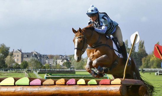 L'Anjou est une terre de cheval et l'Isle-Briand, une référence. (Crédit photo : Bertrand Béchard.)