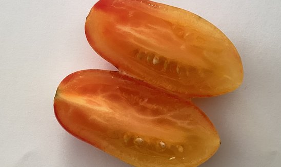 La terre est ovale comme une tomate.  (Crédit photo : Y. Tinard)