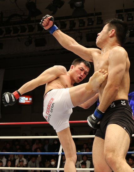 Deux combattants de MMA, pendant un combat. (Crédit photo : PxHere CC0 Public Domain)