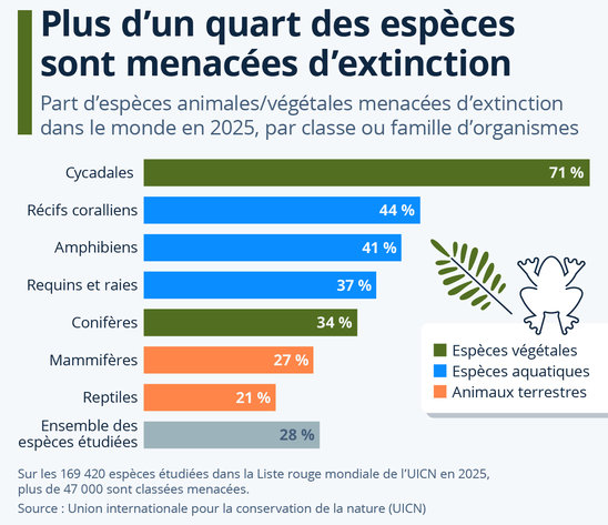 Plus d'un quart des espèces sont menacées (Crédit photo : CC-BY-ND Statista)