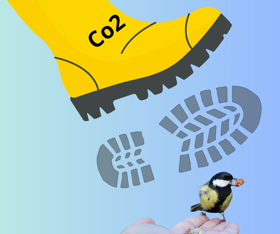 Botte Co2 et oiseau (Crédit photo : Canva Pixabay)