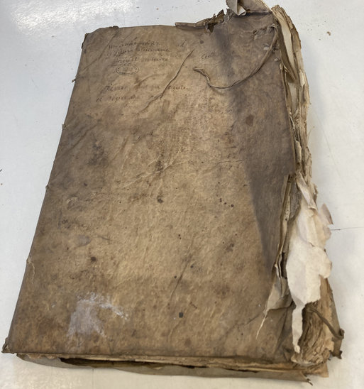 Livre avant restauration (Crédit photo : Photo personnelle)