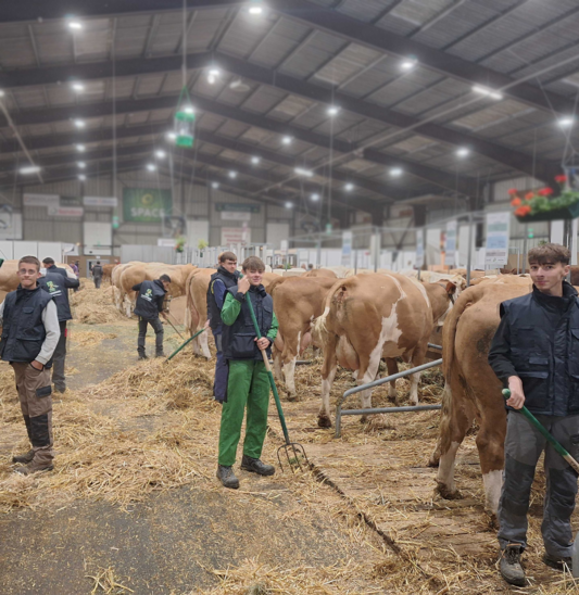 Les Terminales agroéquipement en plein travail (Crédit photo : Aurélien Thouault)