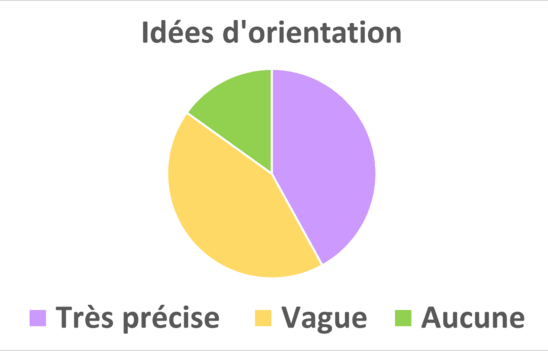 Sondage idées d'orientation (Crédit photo : Cassidy R. et Camille F.)