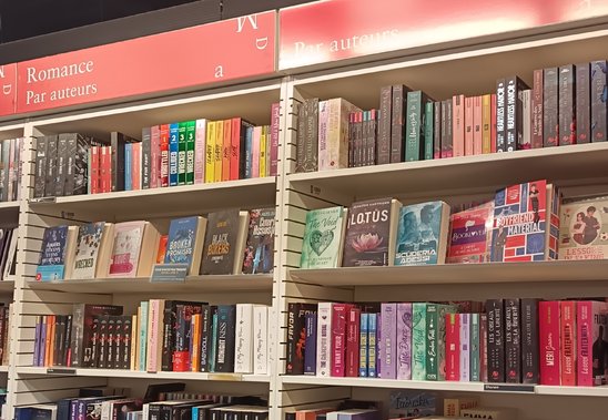 Rayon jeunesse : une sélection de livres à la Fnac de Rennes. (Crédit photo : Eurydice Monpas)