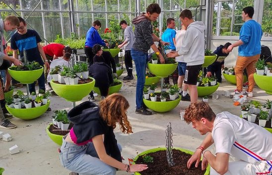 Création des suspensions par les apprenants en horticulture. (Crédit photo : Sabrina Courant)