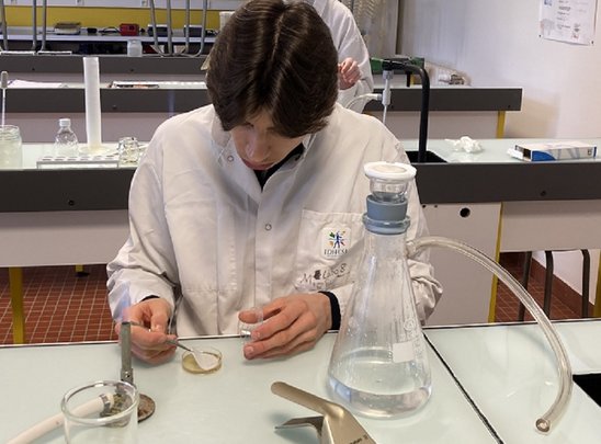 Travaux pratiques : analyse de l'eau (Crédit photo : Lycée Kerustum)