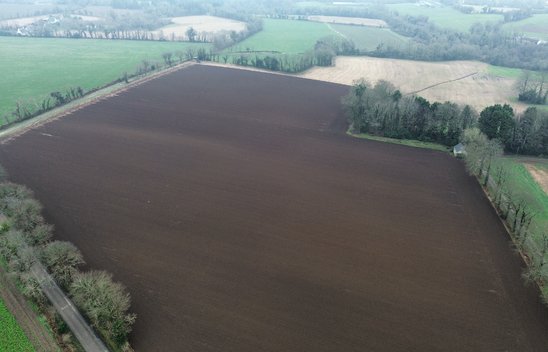 Terre préparée pour le semis de blé en Bretagne  (Crédit photo : Brieuc Belbéoch )