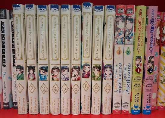 Les séries proposées sont complètes (Crédit photo : Lycée Kerustum)