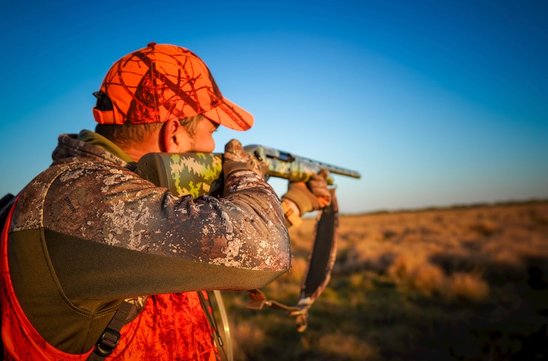 La chasse contribuerait à une baisse des collisions routières. (Crédit photo : Pexels - Arian Fernandez)