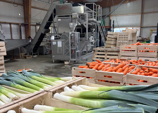 Conditionnement des légumes (Crédit photo : Lilou Lefrant)
