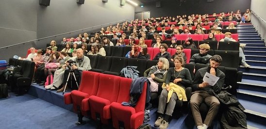 Le groupe en salle de projection (Crédit photo : Ronan Descottes)