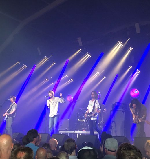  Fontaines DC en concert Au Loose Ends festival à Amsterdam en juin 2019 (Crédit photo : Wikipédia)